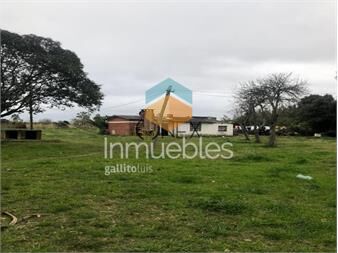 https://www.gallito.com.uy/se-vende-terreno-de-3-hectareas-sobre-ruta-8-inmuebles-27306947