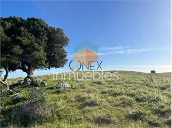 https://www.gallito.com.uy/venta-de-hermosas-chacras-en-maldonado-a-de-5-inmuebles-27306961