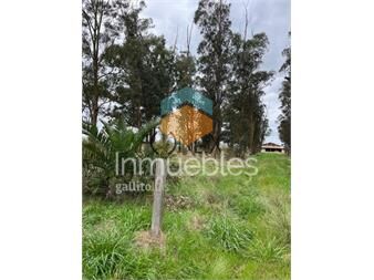 https://www.gallito.com.uy/se-vende-campo-en-sauce-canelones-muy-buen-inmuebles-27306981