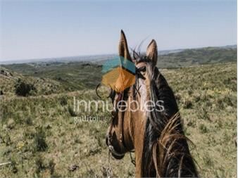 https://www.gallito.com.uy/se-vende-campo-ganadero-turistico-en-treinta-y-inmuebles-27306989