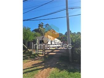 https://www.gallito.com.uy/monoambiente-en-alquiler-anual-en-la-floresta-inmuebles-27307011