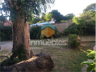 https://www.gallito.com.uy/casa-en-balnearios-la-floresta-inmuebles-27307012