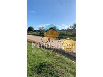 https://www.gallito.com.uy/excelente-oportundiad-de-terreno-a-la-venta-inmuebles-27307034
