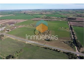 https://www.gallito.com.uy/chacra-de-5-hectareas-en-venta-fray-bentos-inmuebles-27307041