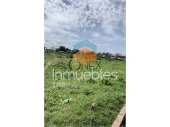 https://www.gallito.com.uy/terreno-en-venta-paso-de-la-arena-inmuebles-27307059