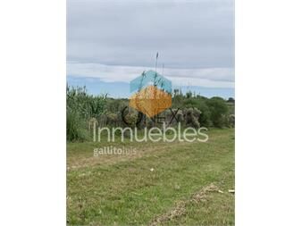https://www.gallito.com.uy/venta-de-terrenos-ideales-para-galpones-logistica-inmuebles-27307064
