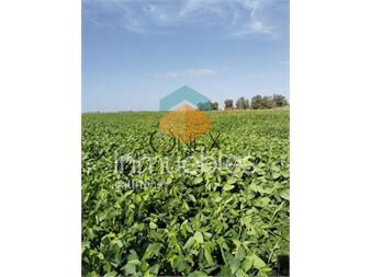 https://www.gallito.com.uy/campo-en-sauce-canelones-muy-buen-acceso-inmuebles-27307091