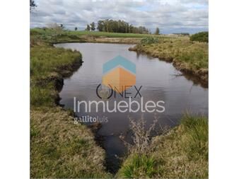 https://www.gallito.com.uy/oportunidad-chacra-de-3-ha-en-venta-en-san-inmuebles-27307096