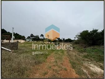https://www.gallito.com.uy/venta-de-terreno-en-jaureguiberry-inmuebles-27307123