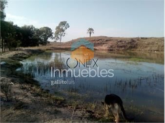 https://www.gallito.com.uy/8-hectareas-en-venta-ciudad-de-guichon-paysandu-inmuebles-27307154