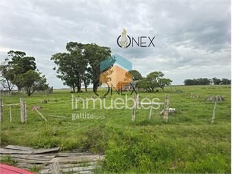 https://www.gallito.com.uy/campo-en-rural-inmuebles-27307201