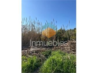 https://www.gallito.com.uy/terreno-suburbano-costaplan-el-pinar-ciudad-de-inmuebles-27307237