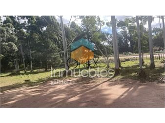 https://www.gallito.com.uy/venta-de-lotes-espectaculares-en-jrdines-del-inmuebles-27307338