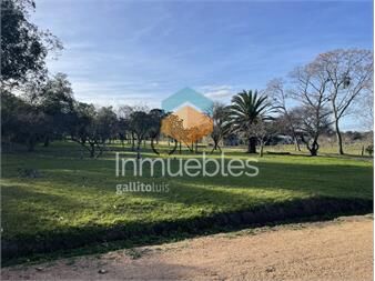 https://www.gallito.com.uy/lotes-los-manantiales-inmuebles-27307345