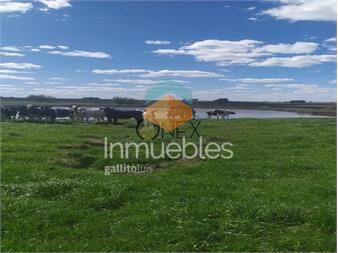 https://www.gallito.com.uy/vendo-campo-150-hectareas-en-la-ciudad-de-inmuebles-27307435