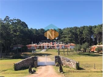 https://www.gallito.com.uy/casa-con-estilo-y-diseão-inmuebles-25035782