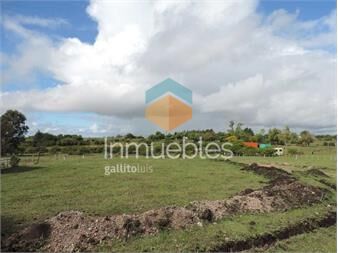 https://www.gallito.com.uy/pre-venta-de-2-lotes-a-eleccion-en-urbanizacion-inmuebles-27161088