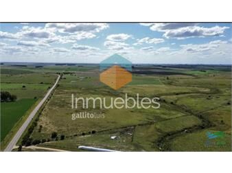 https://www.gallito.com.uy/150-has-campo-agricola-ganadero-a-tan-solo-10-de-inmuebles-27311738