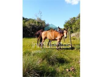 https://www.gallito.com.uy/campo-de-38-hs-con-8690-m2-limite-de-maldonado-y-inmuebles-25033637