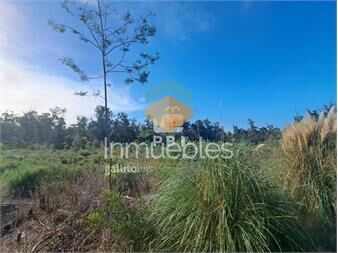 https://www.gallito.com.uy/venta-de-lote-eden-rock-ref-pbi14741-inmuebles-27206124