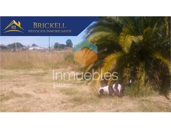 https://www.gallito.com.uy/terrenos-venta-barros-blancos-inmuebles-27311892