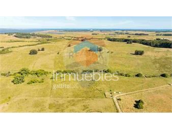 https://www.gallito.com.uy/chacra-maritima-en-venta-ruta-104-jose-ignacio-inmuebles-27311958