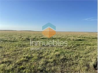 https://www.gallito.com.uy/establecimiento-agricola-ganadero-i-artigas-i-ha-546-ic-inmuebles-27311959