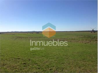 https://www.gallito.com.uy/establecimiento-ganadero-agricola-i-artigas-i-ha-2400-ic-inmuebles-27312040