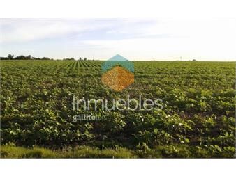 https://www.gallito.com.uy/campo-agricola-ganadero-i-canelones-i-ha-182-ic-142-inmuebles-26325119
