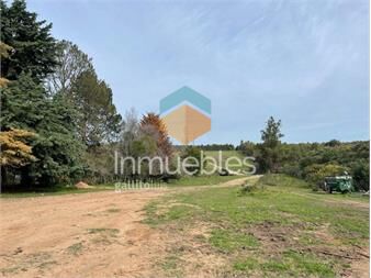https://www.gallito.com.uy/establecimiento-ganadero-i-canelones-i-400-has-inmuebles-26029530