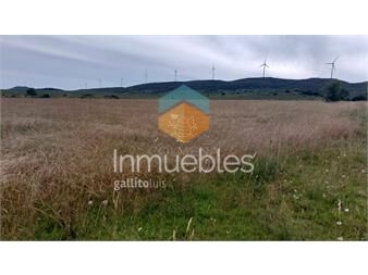 https://www.gallito.com.uy/campos-de-6-y-5-has-en-los-caracoles-35-minutos-inmuebles-27312574