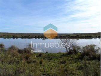 https://www.gallito.com.uy/campo-ganadero-i-cerro-largo-i-ha-1450-ic-57-inmuebles-26416888