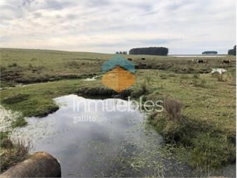 https://www.gallito.com.uy/establecimientos-ganadero-agricolas-i-cerro-largo-i-ha-650-inmuebles-27312756