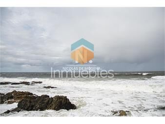 https://www.gallito.com.uy/departamento-a-estrenar-en-torre-de-categoria-inmuebles-24987729