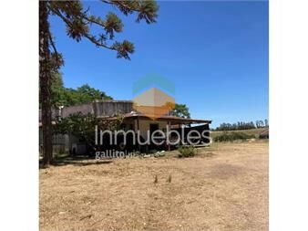https://www.gallito.com.uy/venta-de-chacra-en-canelones-55-ha-con-casa-para-caseros-inmuebles-27313444