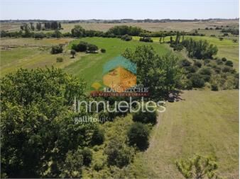 https://www.gallito.com.uy/venta-de-chacra-9-hectareas-monte-arroyo-inmuebles-24956998