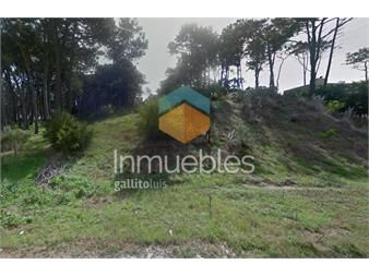 https://www.gallito.com.uy/venta-terreno-en-rincon-del-indio-apto-edificio-inmuebles-26085819