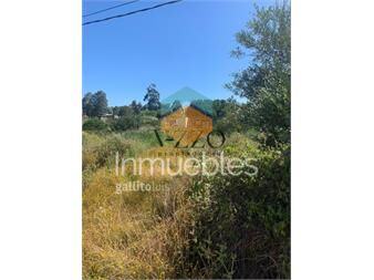 https://www.gallito.com.uy/terreno-en-balneario-buenos-aires-inmuebles-27317040