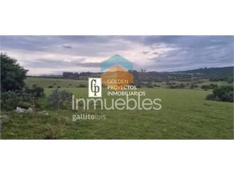 https://www.gallito.com.uy/venta-de-chacra-a-5-km-de-pueblo-eden-y-ruta-12-inmuebles-26761079