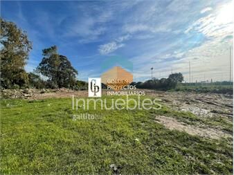 https://www.gallito.com.uy/terreno-en-venta-18-ha-carrasco-prox-polo-inmuebles-26288223