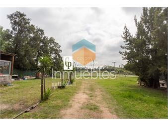https://www.gallito.com.uy/terreno-en-venta-colon-10509-m2-inmuebles-26242042