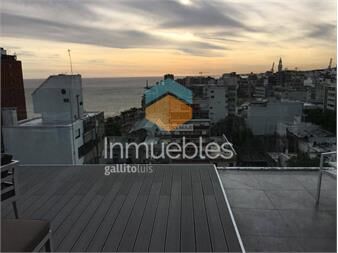 https://www.gallito.com.uy/alquiler-apartamento-4-dormitorios-centro-andes-y-maldonado-inmuebles-27161908