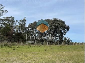 https://www.gallito.com.uy/chacra-i-canelones-i-ha-36-ic-175-inmuebles-27312599