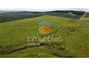 https://www.gallito.com.uy/campo-ganadero-forestal-i-lavalleja-i-ha-112-ic-63-inmuebles-27317898