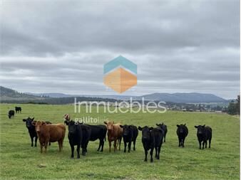 https://www.gallito.com.uy/campo-agricola-ganadero-i-maldonado-i-ha-13509-ic-inmuebles-27317945