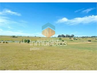 https://www.gallito.com.uy/manatiales-inmuebles-25035955
