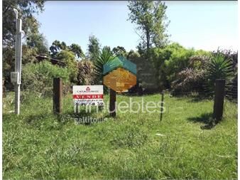 https://www.gallito.com.uy/venta-terreno-san-luis-350m2-usd-22000-inmuebles-26522756