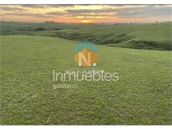 https://www.gallito.com.uy/vende-excelente-campo-en-jose-ignacio-ideal-fin-inmuebles-25306197