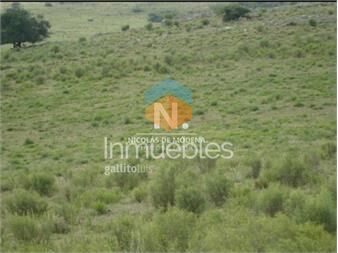 https://www.gallito.com.uy/campo-de-95has-inmuebles-25034766