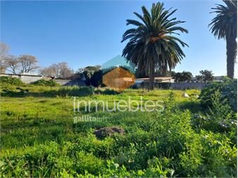 https://www.gallito.com.uy/terreno-2242m2-venta-en-peñarol-ideal-inversores-inmuebles-27092816